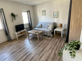 Grand Studio à 100m des plages